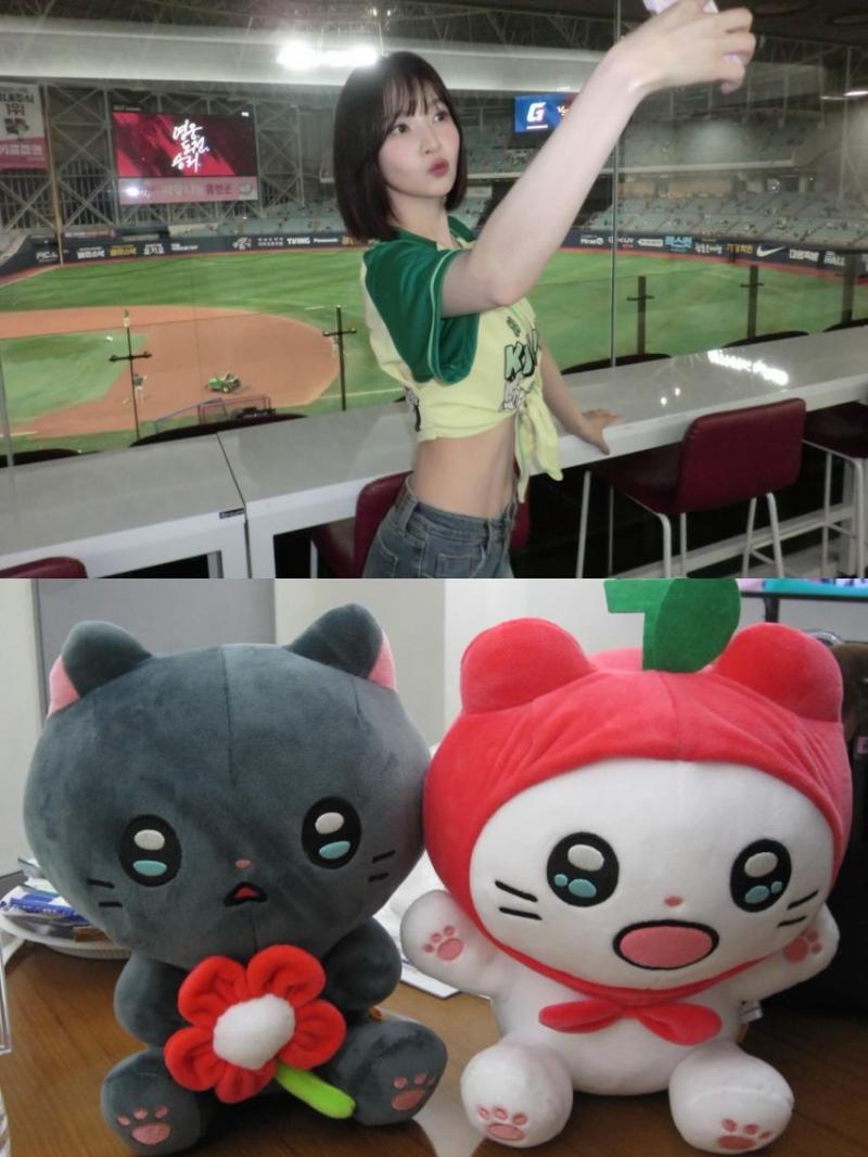 조이 레드벨벳 인별 등 키움