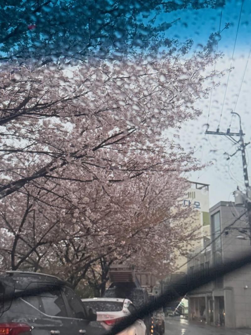 신수현 인별