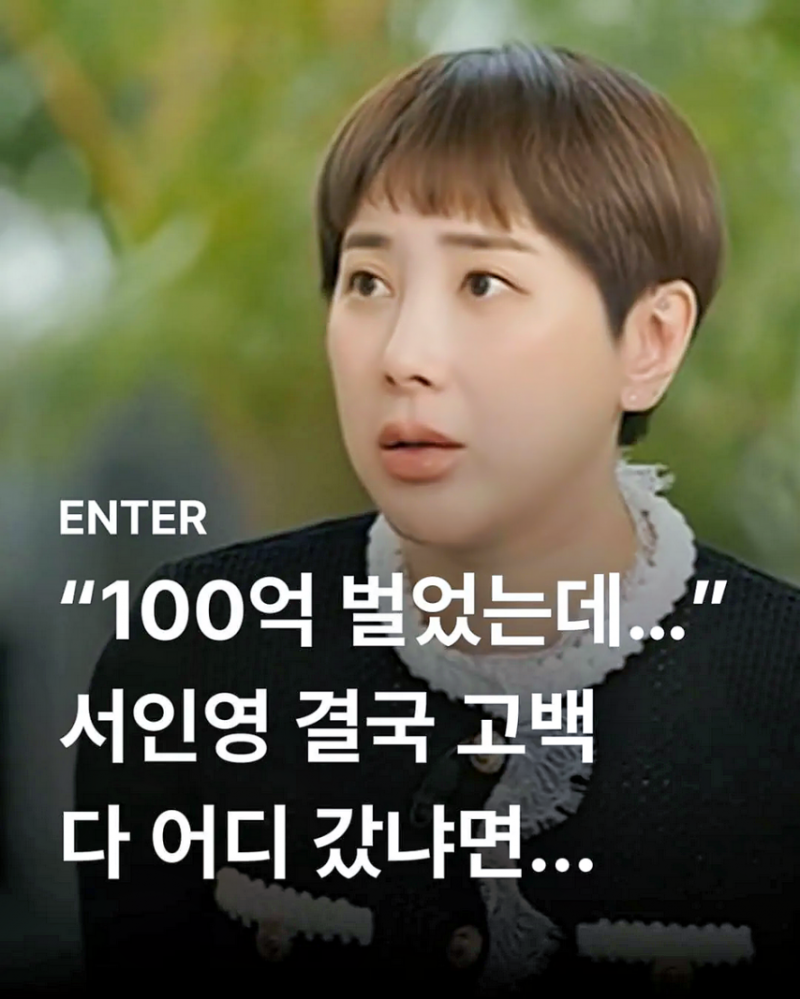 서인영 전성기 시절 수입