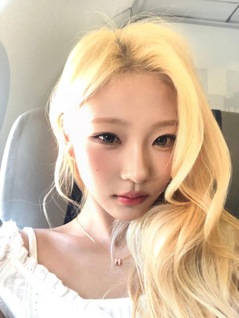 하츠투하츠 유하,  스텔라