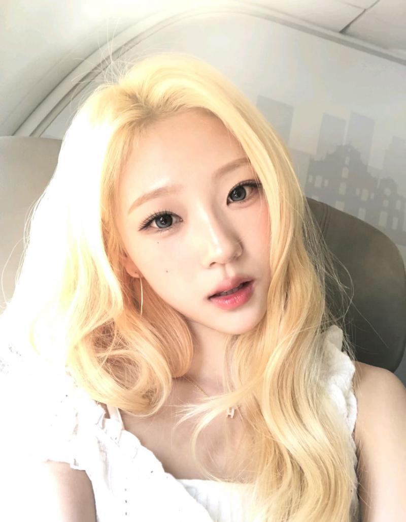 하츠투하츠 스텔라
