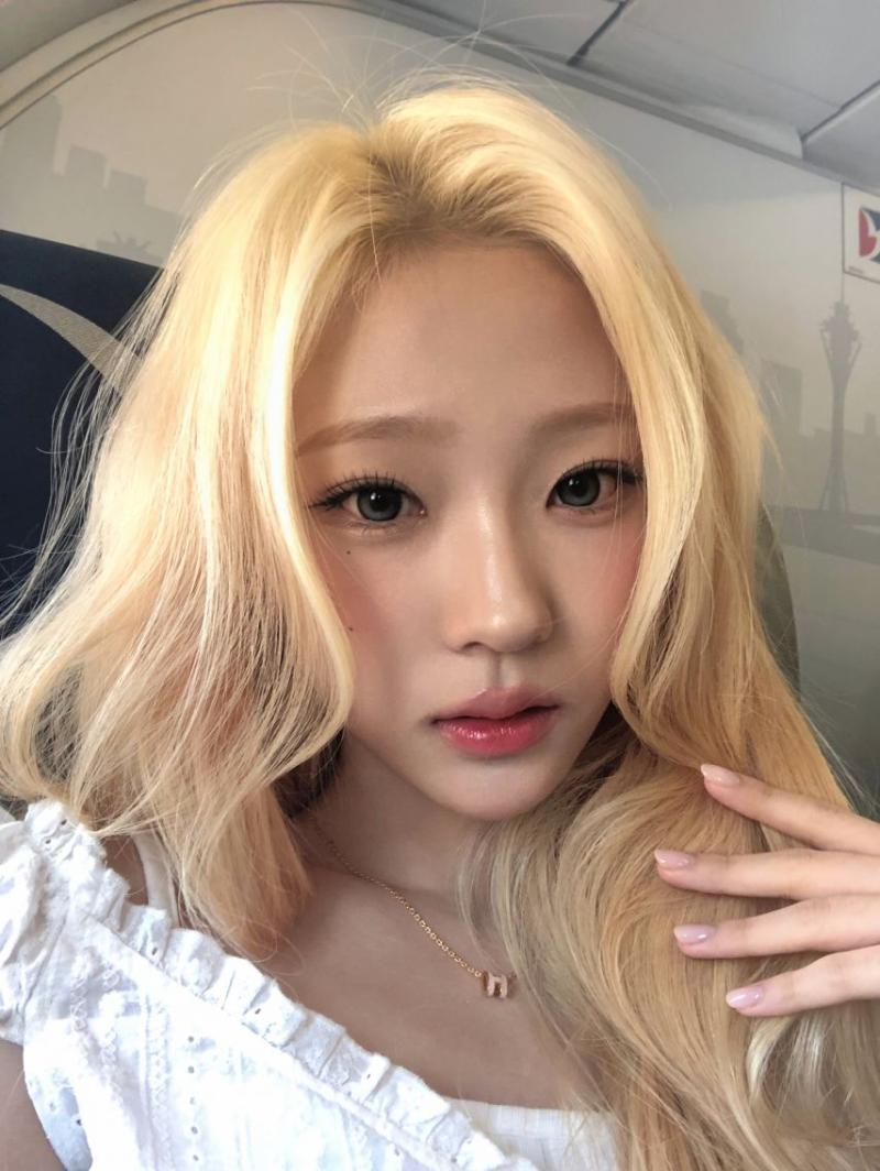 하츠투하츠 스텔라