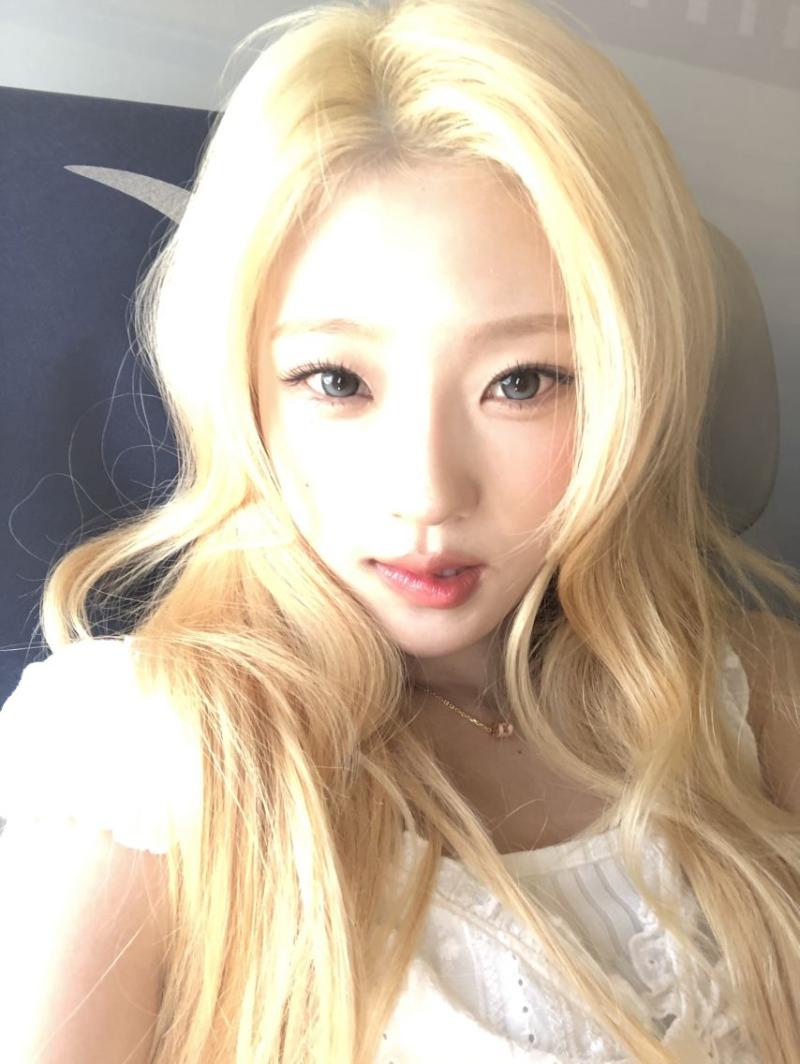 하츠투하츠 스텔라