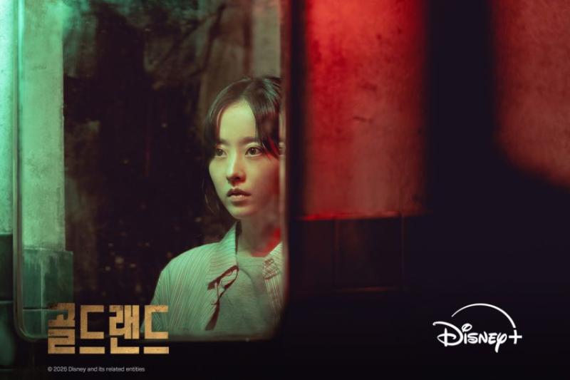 박보영
