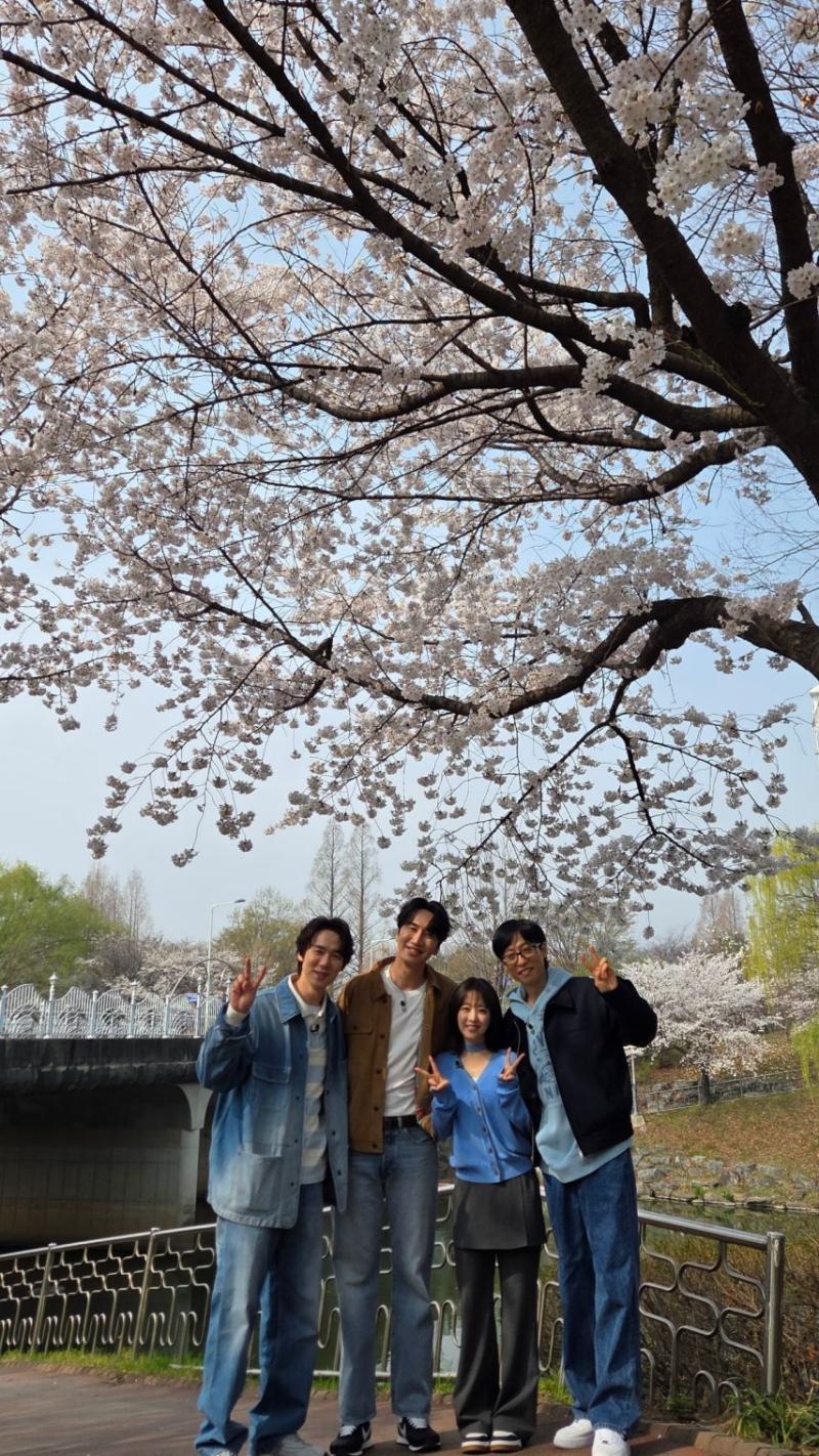 박보영