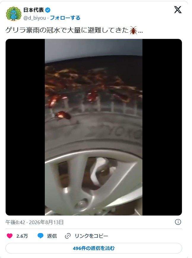 [혐] 게릴라 호우를 피해 내 차 타이어로 피난 온 바퀴들.mp4