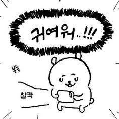 그루밍 하다 떨어지는 캣초딩