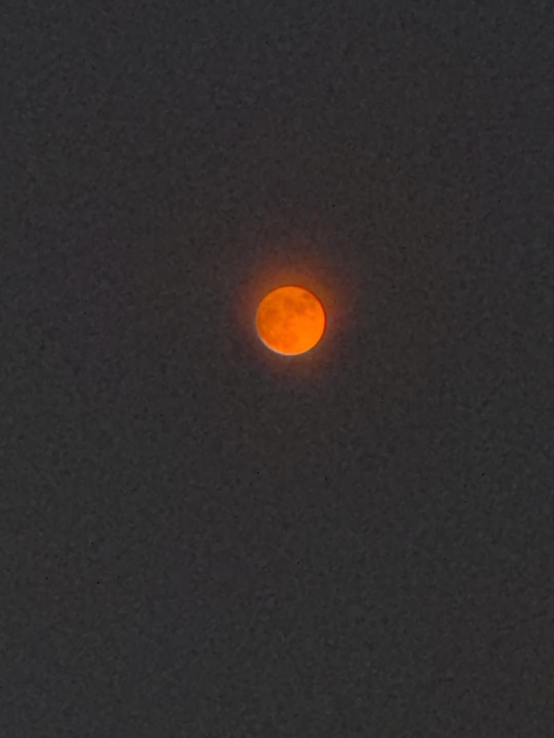 블랙핑크 지수