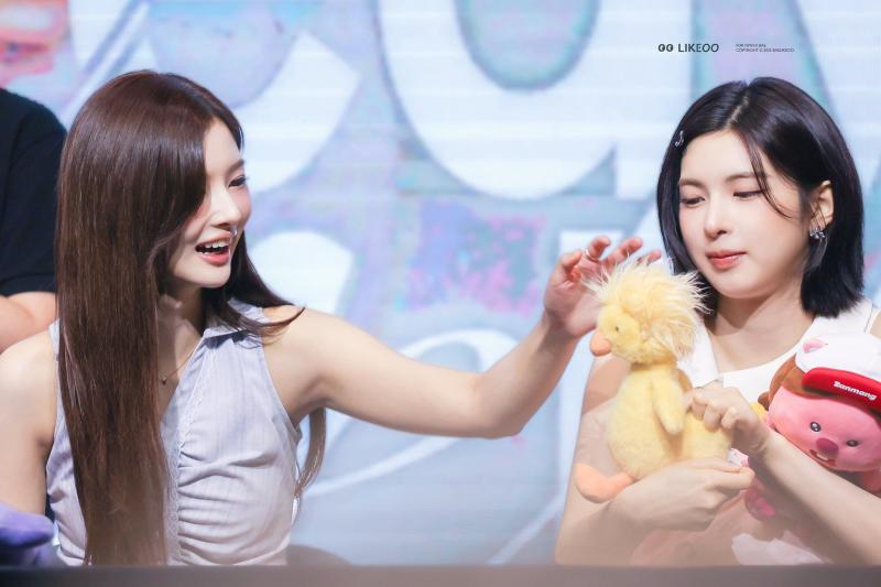 엔믹스 설윤 배이