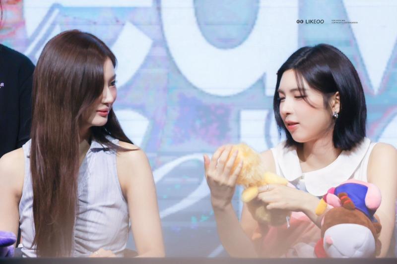 엔믹스 설윤 배이