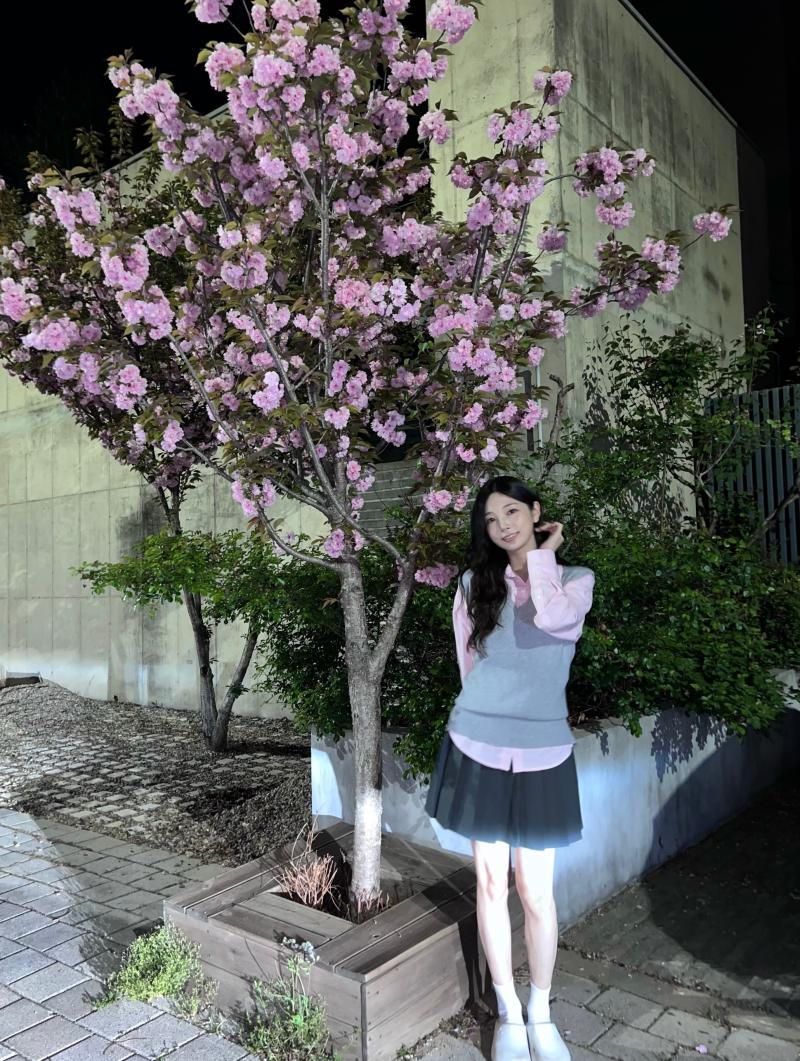 로켓펀치 연희