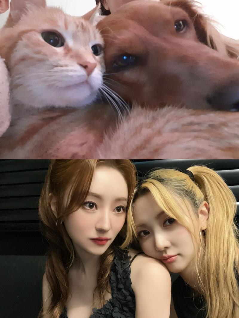 드림캐쳐 수아 (유아유) SNS