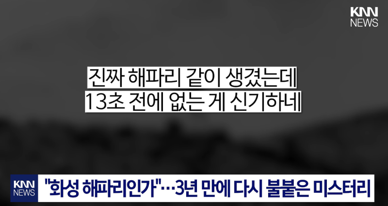NASA가 올린 화성 사진에 미확인 물체