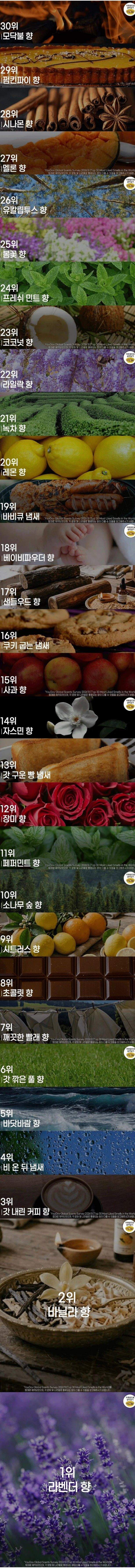사람들이 가장 좋아하는 향 순위.jpg