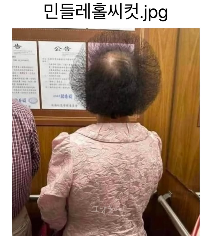 민들레홀씨컷.jpg