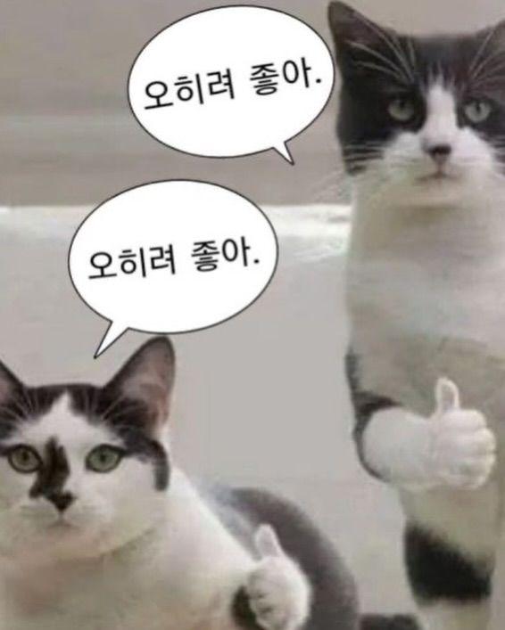 박세현