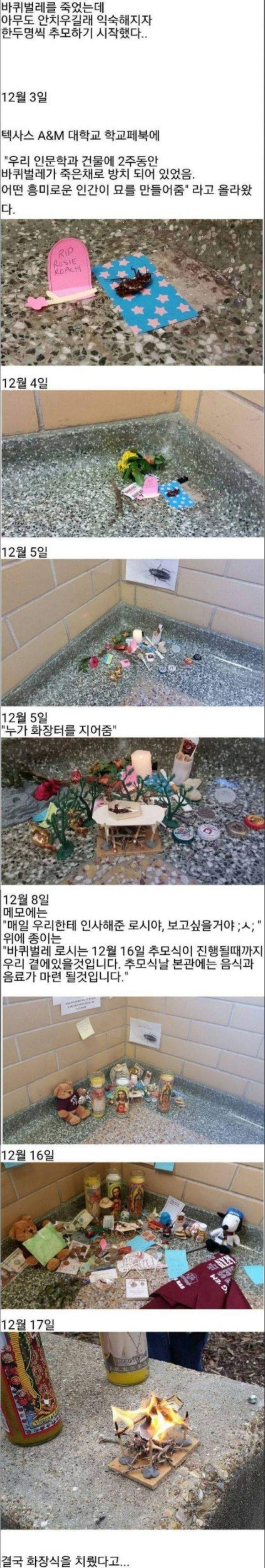 한 대학교의 추모식