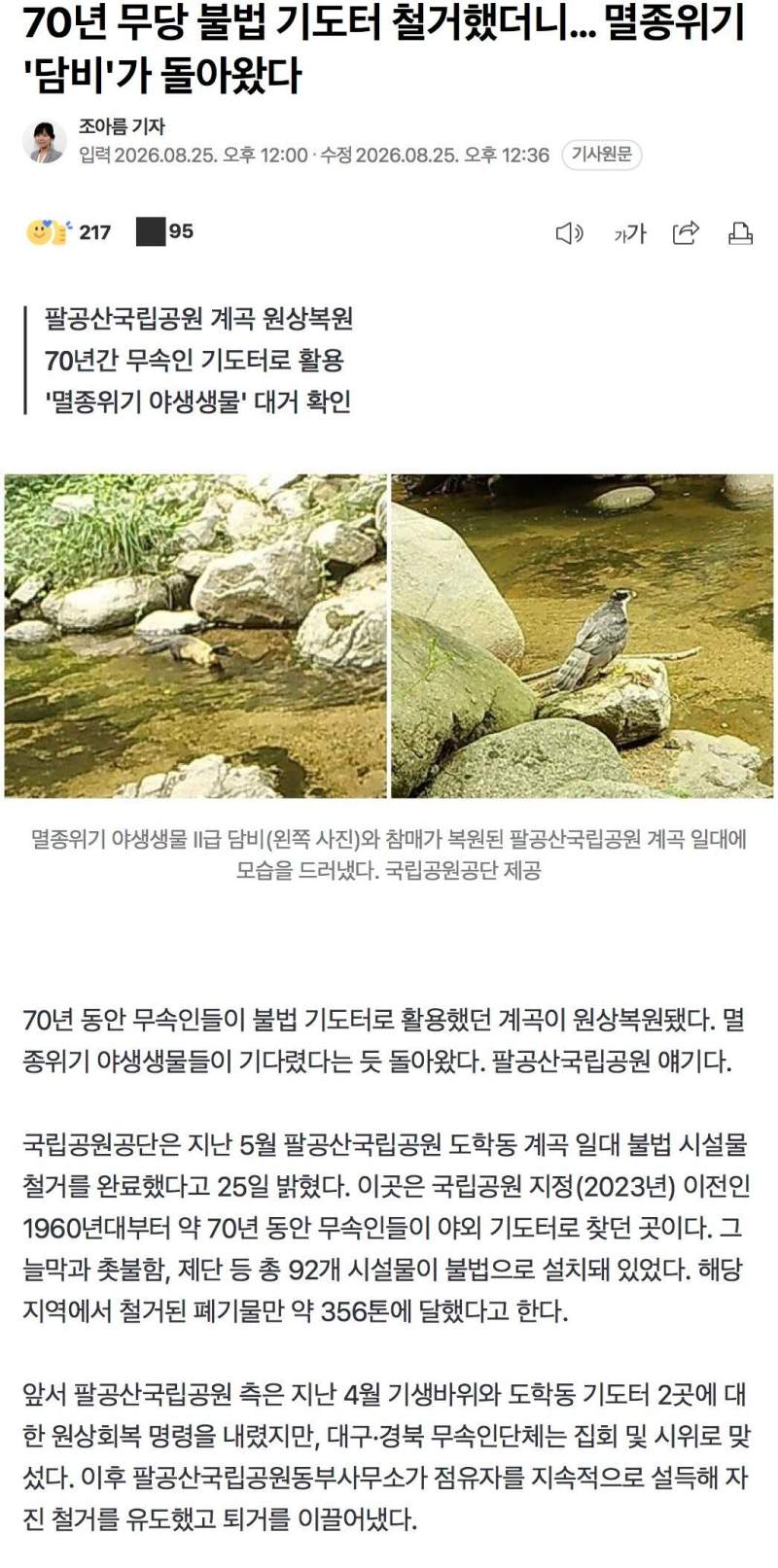 70년 무당 불법 기도터 철거했더니… 멸종위기 '담비'가 돌아왔다