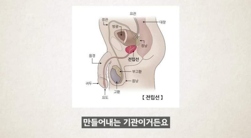 한달에 21번 사정하라.jpg