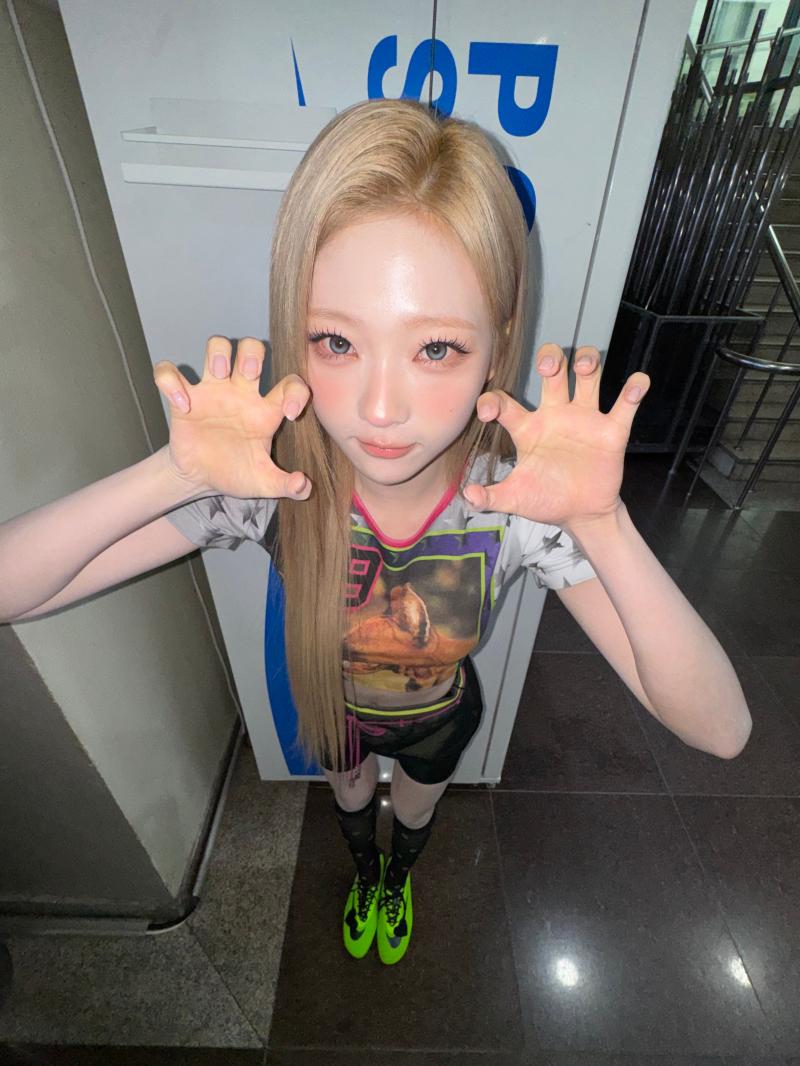 하츠투하츠 스텔라