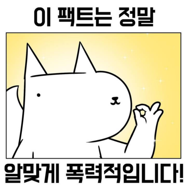 트레이너의 직구