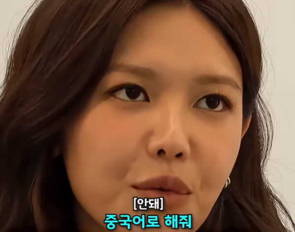 효연이가 춤만 잘 추는 게 아니었네요