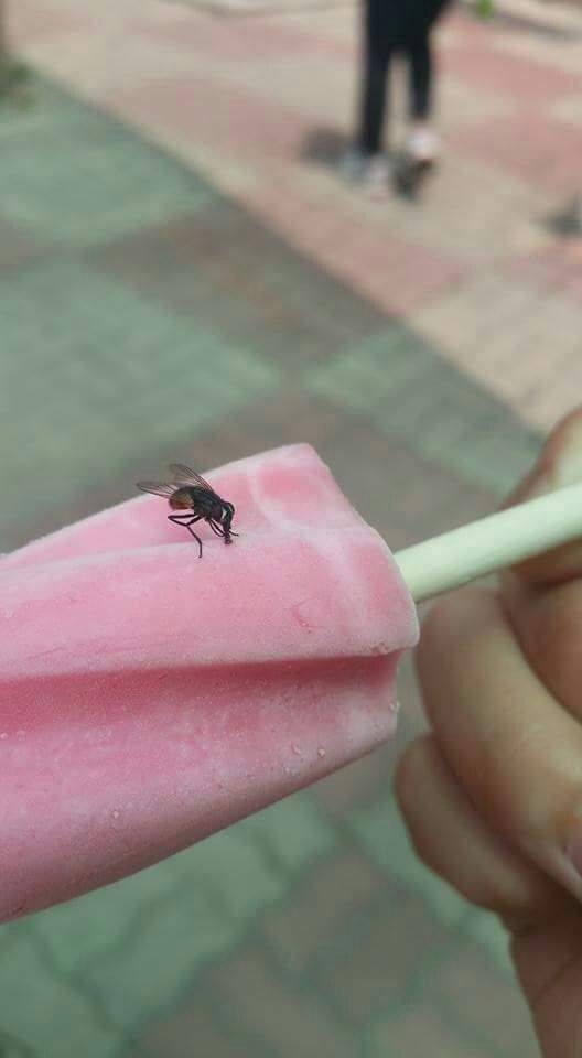 한입충의 최후
