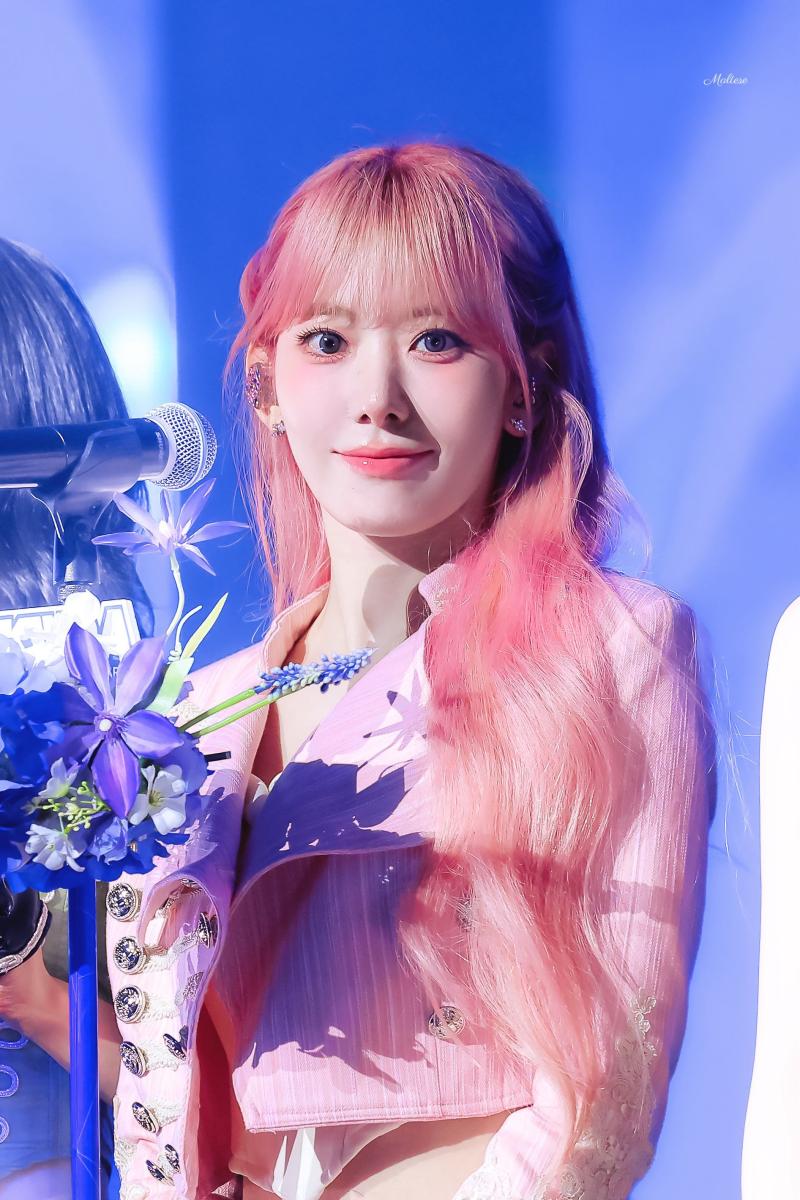 르세라핌 사쿠라 KDWA 260827