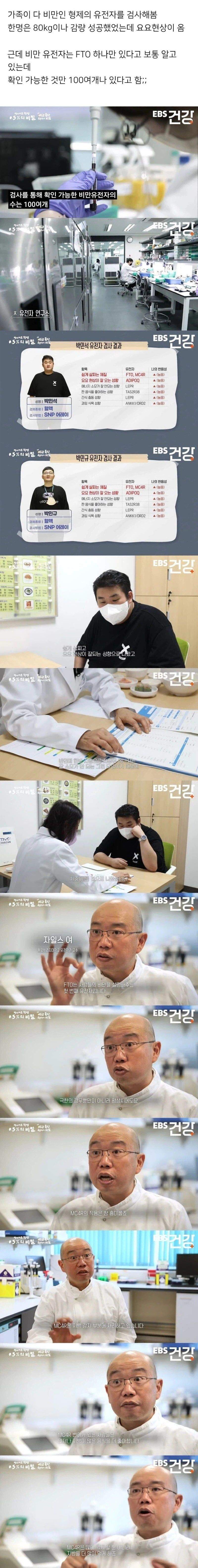 비만유전자 오열