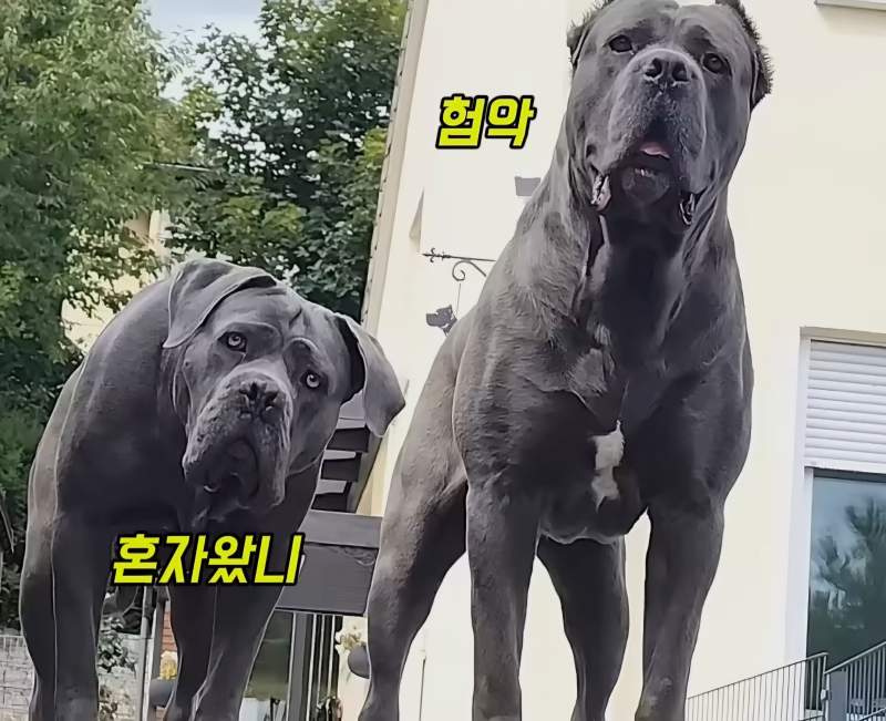 손절을 부르는 남편의 역사 의식