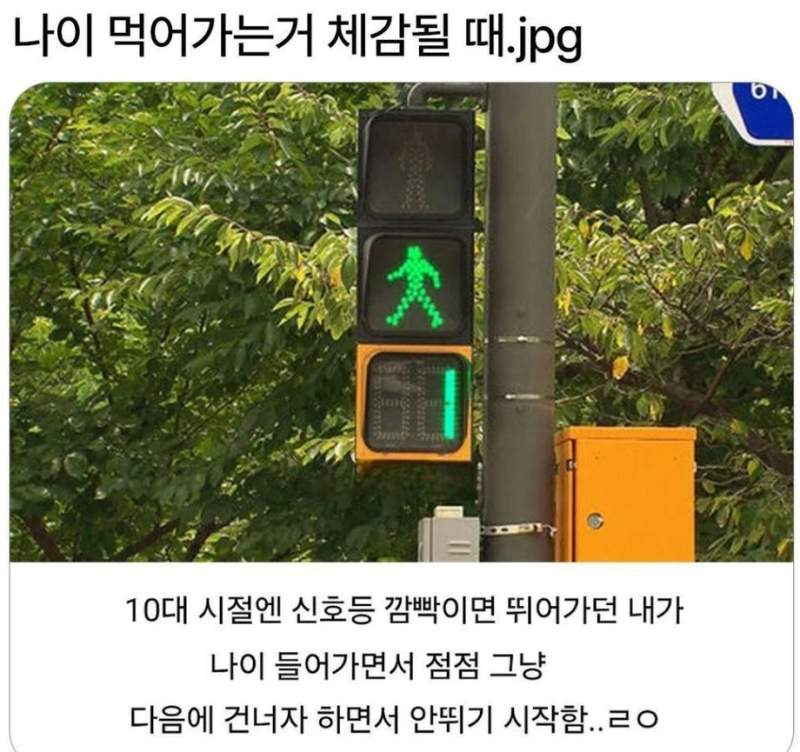 나이 먹어가는거 체감될 때