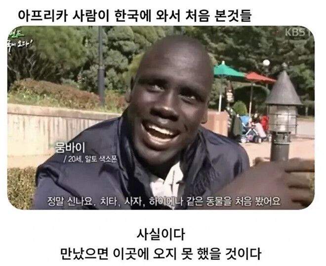 아프리카인이 한국 와서 처음 본 것들...