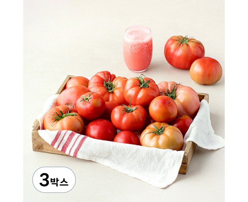 주스용 못난이 토마토