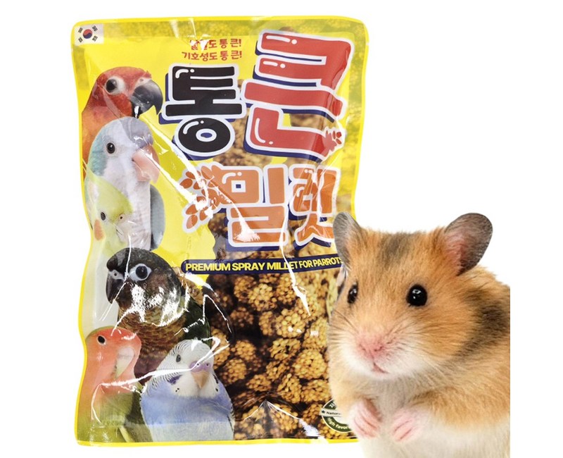 소동물 햄스터 간식 밀렛 스프레이 먹이 사료