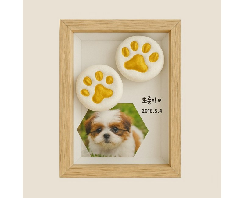반려동물 발도장 DIY 세트+물감 3종 / 강아지 고양이 핸드프린팅