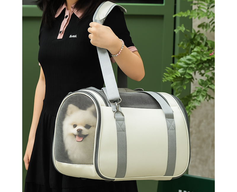 클라민 강아지 고양이 이동가방 애견 이동장 캐리어