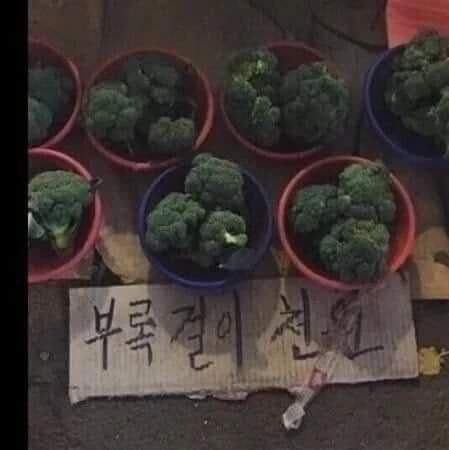 야채계의 볼드모트.jpg