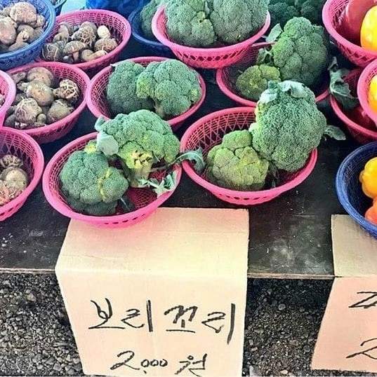 야채계의 볼드모트.jpg