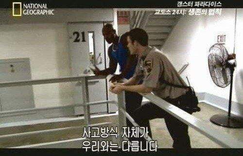 ㅇㅎ)카부키죠 근황