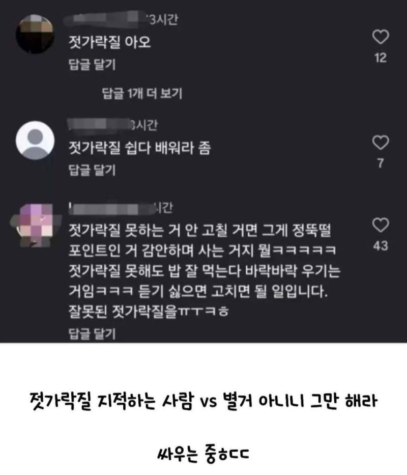젓가락질 못하는게 가정교육 운운할 일이야?