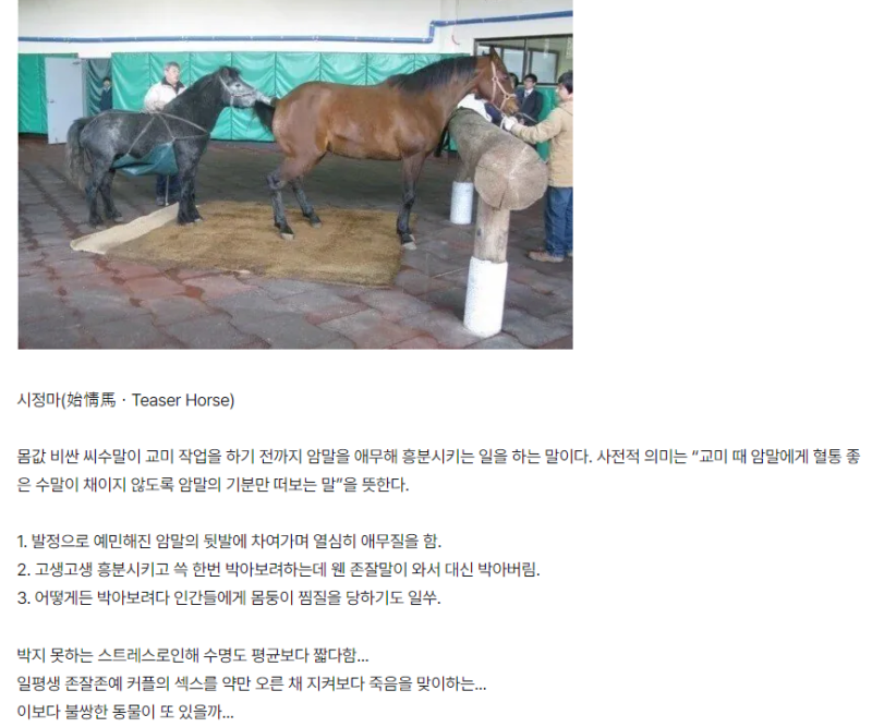예쁜 애가 알려주는 예쁜 여자 만나는 방법