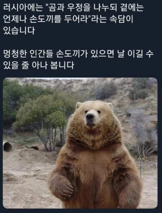 러시아속담이 잘못된이유