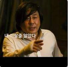 에어쇼 도중 취객 비행기 탈취 사건