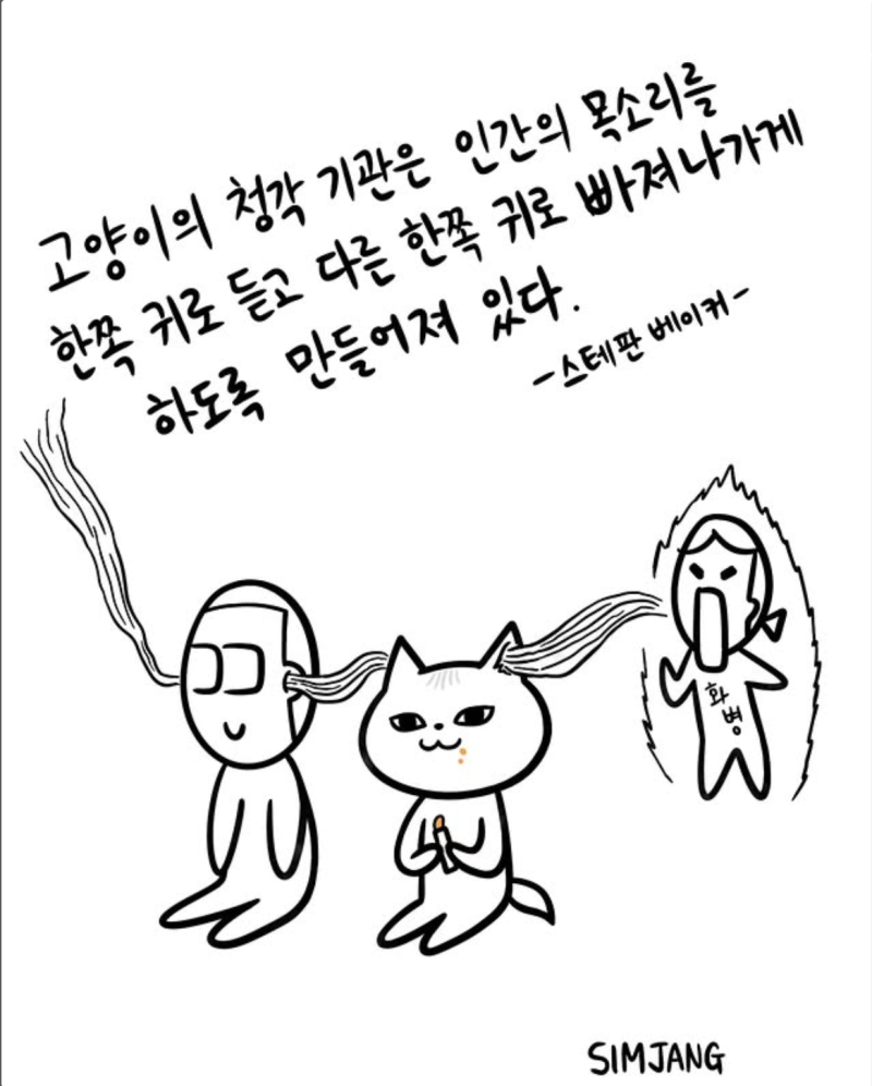 고양이가 말을 안들어먹는 이유