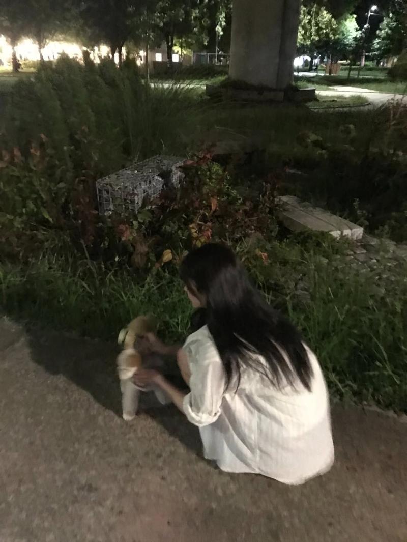 김민주