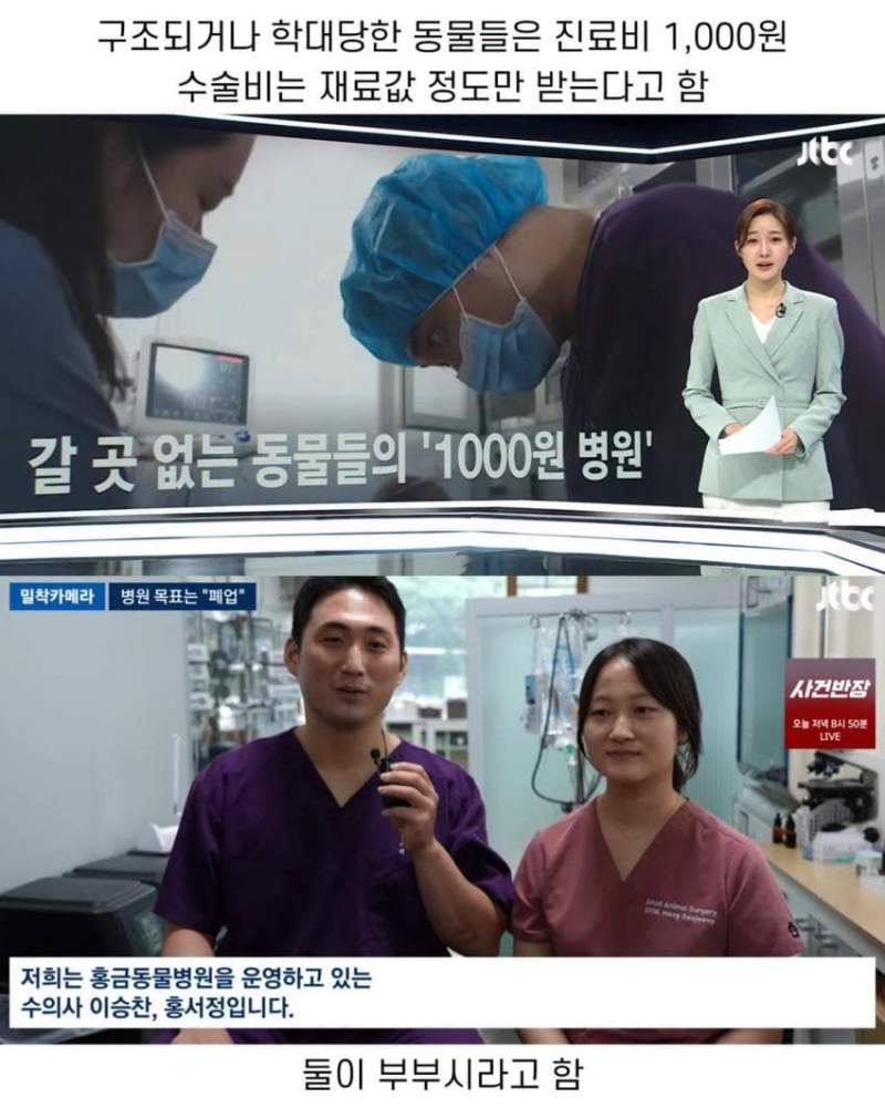 진료비 천 원이라는 동물병원.jpg