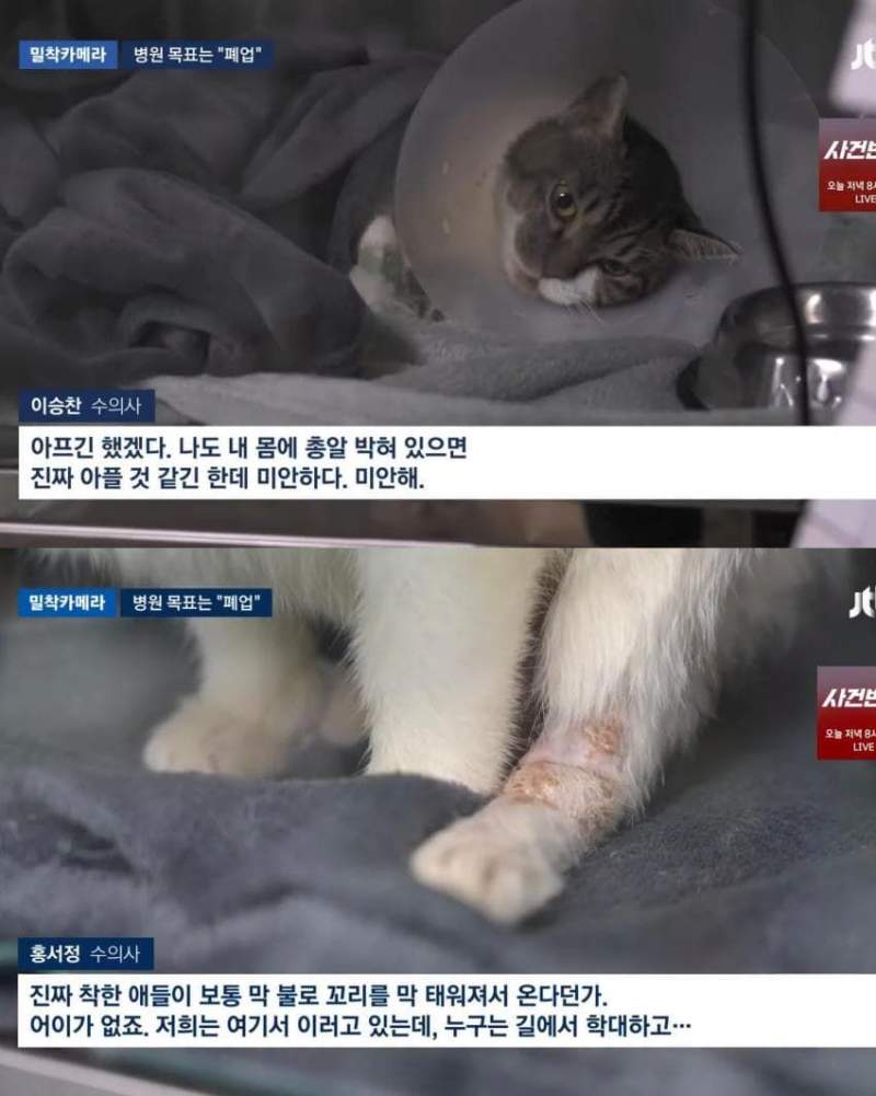 진료비 천 원이라는 동물병원.jpg