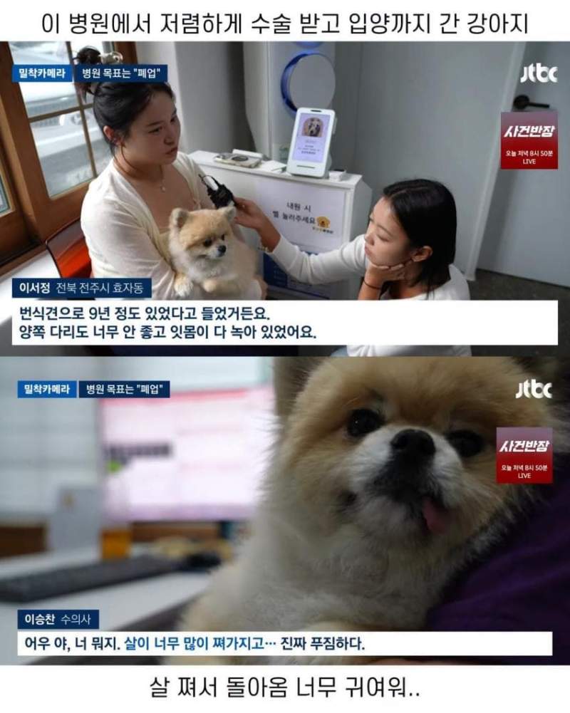 진료비 천 원이라는 동물병원.jpg