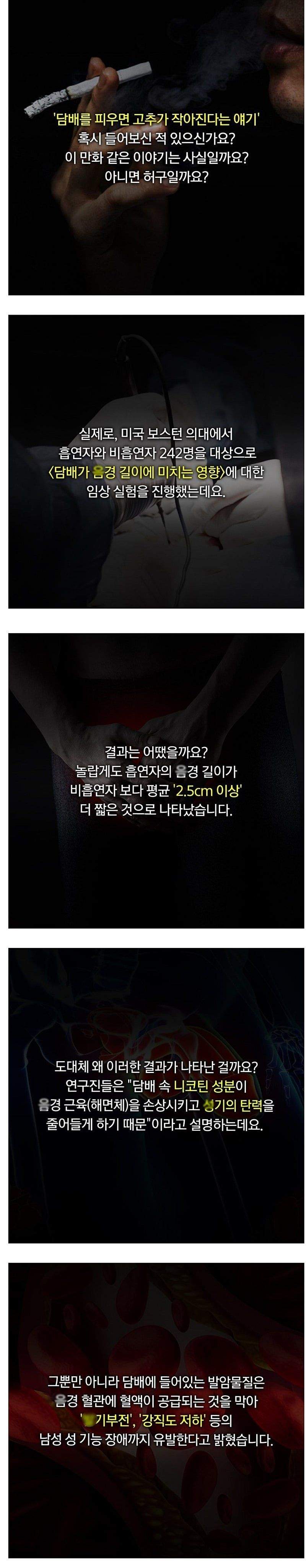 담배피우면 이런 증상나옴