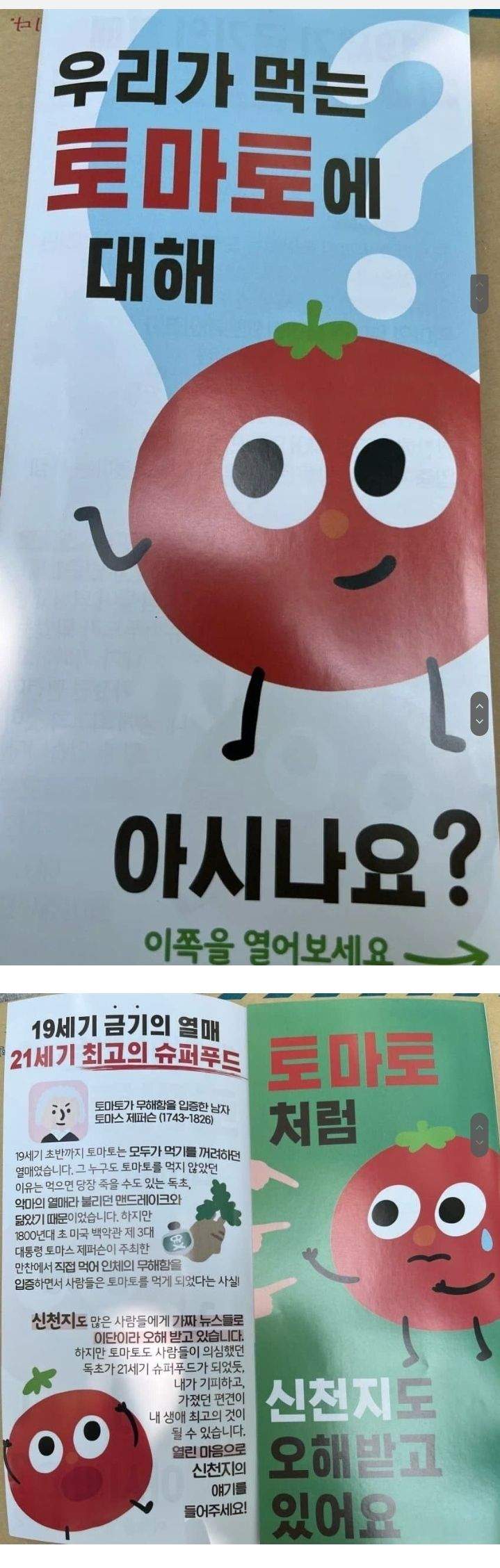 토마토에 대한 오해